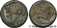 Classic 2 (400 BC to 350 BC) Unité TAURIC CHERSONESE - PANTICAPEUM Panticapée, Chersonèse Taurique c. 310 - 304/303AC. (20mm, 7,28g, 12h) -