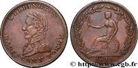 BRITISH TOKENS OR JETTONS 1/2 Penny Wellington 1814 BRITISH TOKENS OR JE... 30.34 £  +  15.61 £ shipping