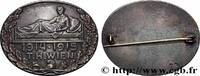 FRANCE Insigne, Hôpital de l’Université technique PREMIÈRE GUERRE - WWI Autriche, Vienne 1915 (34,5mm, 20,96g, 12h) -
