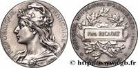 FRANCE M&eacute;daille, Conseil municipal 1900 CONSEIL G&Eacute;N&Eacute;RAL, D&Eacute;PARTEMENTAL O... 46.55 &pound;  +  15.23 &pound; shipping