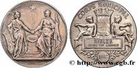 FRANCE M&eacute;daille, Corps municipal 1882 CONSEIL G&Eacute;N&Eacute;RAL, D&Eacute;PARTEMENTAL OU ... 152.34 &pound;  +  15.23 &pound; shipping