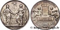 FRANCE M&eacute;daille, Corps municipal 1888 CONSEIL G&Eacute;N&Eacute;RAL, D&Eacute;PARTEMENTAL OU ... 152.34 &pound;  +  15.23 &pound; shipping