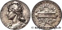 FRANCE M&eacute;daille, Conseil municipal 1892 CONSEIL G&Eacute;N&Eacute;RAL, D&Eacute;PARTEMENTAL O... 50.78 &pound;  +  15.23 &pound; shipping