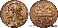 FRANCE M&eacute;daille, Conseil municipal 1900 CONSEIL G&Eacute;N&Eacute;RAL, D&Eacute;PARTEMENTAL O... 50.78 &pound;  +  15.23 &pound; shipping