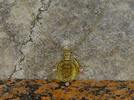 Gold Pendant With Roman Glass Cameo : Gorgoneion (gorgon - Medusa) -