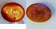 Roman Intaglio On Carnelian: Antelope In Front Of A Cantharus -