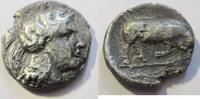 Griechenland Stater 435-400 v. Chr. Stater von Thourioi in Lukanien Rs. ... 68.49 £  +  14.74 £ shipping