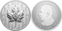 Canada 20$ 2024 MAPLE LEAF Forest SML Ultra High Relief 1 oz Silver Coin  117.03 £ free shipping