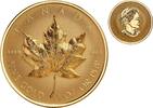 Canada 200$ 2022 MAPLE LEAF 1 oz High Relief Pure Gold Coin  4,333.88 £ free shipping