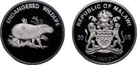 Malawi 10 Kwacha Malawi Republic 2005 10 Kwacha (Pygmy Hippopotamus) Silver plated copper-nickel 24.65g PF KM 83 -