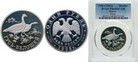 Russia 1 Rouble Russia Russian Federation 1998 СПМД 1 Rouble (The White-Neck Goose) Silver (.900) Saint Petersburg Mint (15000) 17.44g PCGS PR 6 -