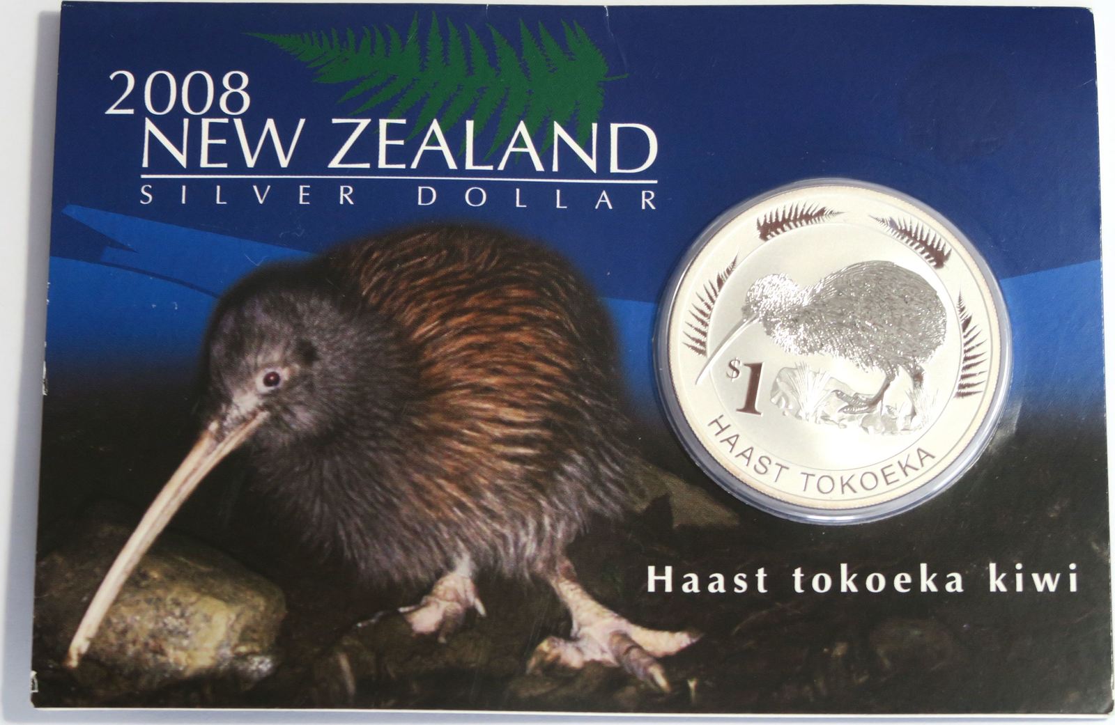 The new zealand kiwi контрольная