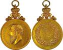 Belgium Historical medal Leopold II – Agricultural Committee Sint-Gillis-Waas Prize Competition / Hart -