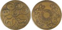 Netherlands Historical medal Maastricht Dog Sports Association -