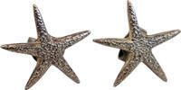 Schmuck Ohrringe Ohrstecker - Seestern -