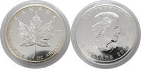 Kanada 5 Dollar Silber 2004 Elisabeth II. Maple Leaf fast BU, leichte Patina,