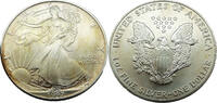 Vereinigte Staaten / USA 1 Dollar / 1 Oz Eagle Silberunze, 1 Dollar American Silver Eagle -