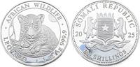 Somalia 100 Schilling / 1 Oz 2025 Afrikanische Tierwelt - Leopard Polier... 76.87 &pound;  +  17.08 &pound; shipping