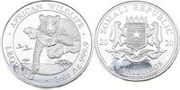 Somalia 100 Schilling / 1 Oz 2020 Afrikanische Tierwelt - Leopard Polier... 68.32 &pound;  +  17.08 &pound; shipping