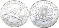 Somalia 100 Schilling / 1 Oz 2021 Afrikanische Tierwelt - Leopard Polier... 76.87 &pound;  +  17.08 &pound; shipping