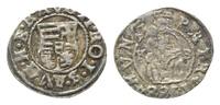 Haus Habsburg, Denar Rudolph II., 1576-1612, -