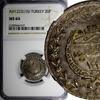 Turkey 20 Para 1833 Turkey Mahmud II Silver AH1223 26 (1833)  NGC MS64 T... 130.31 £  +  11.17 £ shipping