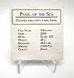 Palau 5$ 2008 PEARL PINK Princess of Sea Marine Life Silver Coin Proof