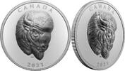 Canada 25$ BOLD BISON 1 oz Pure Silver Coin -