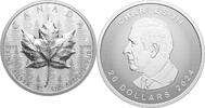 Canada 20$ 2023 NEW! Canada 2024 20$ MAPLE LEAF Forest SML Ultra High Re... 130.03 £121.36 £  +  8.67 £ shipping