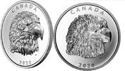 Canada 25$ 2020 Proud Bald Eagle 1 oz. Pure Silver EHR Coin Proof 173.38 £147.37 £  +  8.67 £ shipping