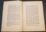 Weimarer Republik Buch 1921 Luther und die Juden gebraucht