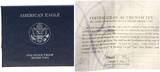 USA 1 Dollar 2007 W American Eagle 1 oz Feinsilber mit Box und Zertifikat Proof