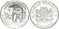 Somalia 100 Shillings African Wildlife Elephant, 1 Unze Silber -