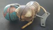 BRD Blechspielzeug Katze -