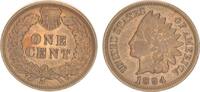 USA 1 Cent One Cent Indian Head -