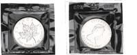 Kanada 5 Dollar 1oz Silber Maple Leaf -