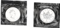 Kanada 5 Dollar 1oz Silber Maple Leaf -