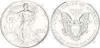 USA 1 Dollar 1oz Silber American Eagle -