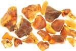 Bernstein Bernstein Konvolut, 48,7g, 19 stück, zwischen 2cm und 4cm groß -