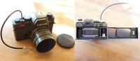 Deutschland Foto Cameras LEICA R-3 Spiegelreflexcamera SAFARI L772 1469808, Summicron R 1:2/50-2890909, -