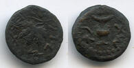 Antike 2 prutah First Jewish War, year (67/68 AD), Ancient Judaea -