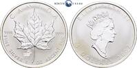 Kanada 5 Dollar 2002 1 Unze Silber Maple Leaf, Privy Mark Pferd, Lunar S... 42.48 £  +  32.94 £ shipping