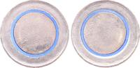 Deutschland 5 Euro 5 Euro Rohling Klimazonen Randinschrift 2017 blaues Polymer -