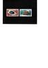 Neukaledonien Kat.Nr. 408/09 - Kat.Wert 22,- -