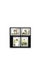 Algerien Kat.Nr. 972 - 975 kpl. - Kat.Wert 8,- -