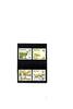 Botswana Kat.Nr. 431 - 434 kpl. - Kat.Wert 14,- -