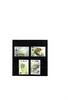 St. Vincent Kat.Nr. 1222 - 1225 kpl. - Kat.Wert 4,50 -