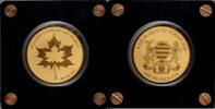 Tschad 5000 Francs tchad, Maple Leaf, gold coin, 1/200 ounce. -