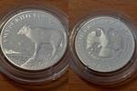 Russland 1 Rubel russia, 1 rouble silber, 1/2 ounce fine silver, Chinese goral -