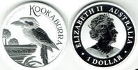 Australien 1 Dollar australia, kookaburra 2022, 1 ounce -